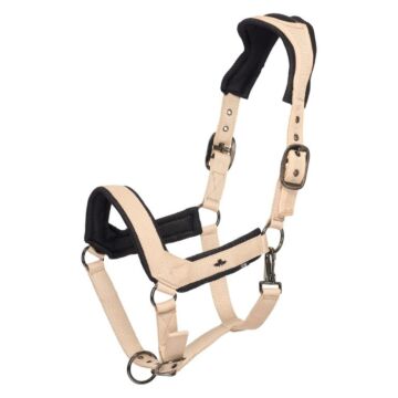 Halfter HV Polo Esther Tan