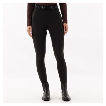 Reitlegging BR Faiga Meteorite 