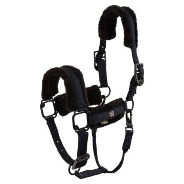Halfter BR Eevolv Famke Carbon Halfter BR Eevolv Famke Carbon