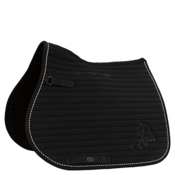 Satteldecke BR Eevolv Jens Meteorite