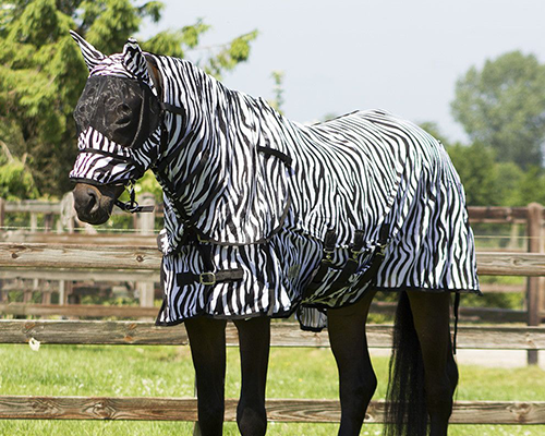 Warum eine Zebra Fliegendecke wirklich sinnvoll ist