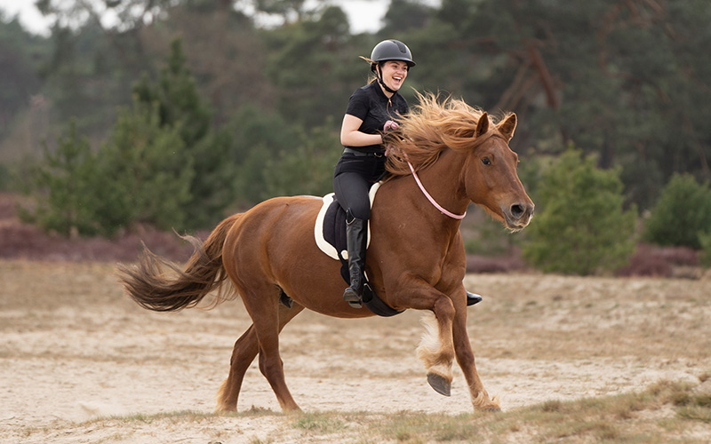 Gebisslos, mit Neckrope oder Barebackpad reiten? Die Kraft der Abwechslung im Training!