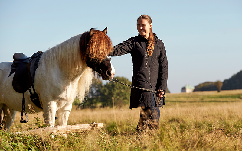 Was braucht dein Pferd im Winter?